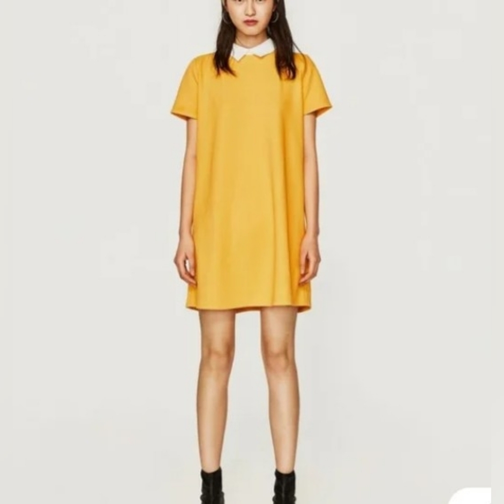 Zara Trafaluc Sunny Yellow Mini Dress with White Collar - Size S